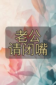 老公请闭嘴封面