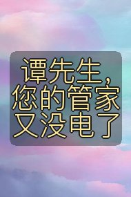 谭先生，您的管家又没电了封面