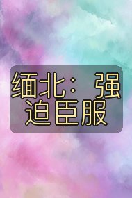 缅北:强迫臣服封面