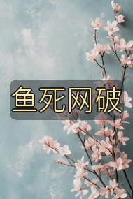 鱼死网破封面