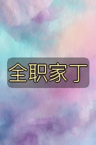 全职家丁封面