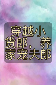 穿越小货郎,养家宠夫郎封面