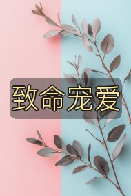 致命宠爱封面