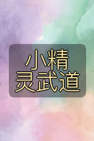 小精灵武道封面