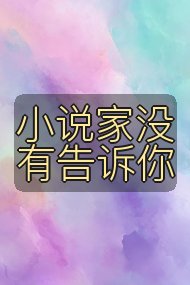 小说家没有告诉你封面