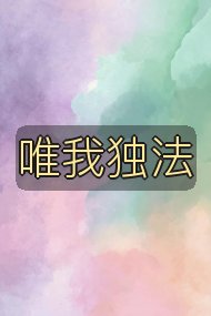 唯我独法封面