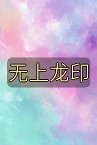 无上龙印封面