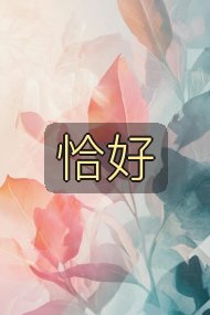 恰好封面