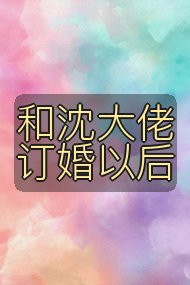 和沈大佬订婚以后封面