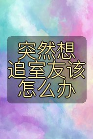 突然想追室友该怎么办封面