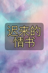 迟来的情书封面